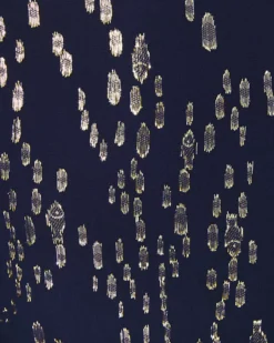 Cleme Silk Dress -Lilly Pulitzer Shop 011824 truenavyfishclipchiffon a8 sf