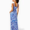 Serena V-Neck Maxi Dress